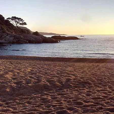 Carabela-siente La Brisa Del Mar *